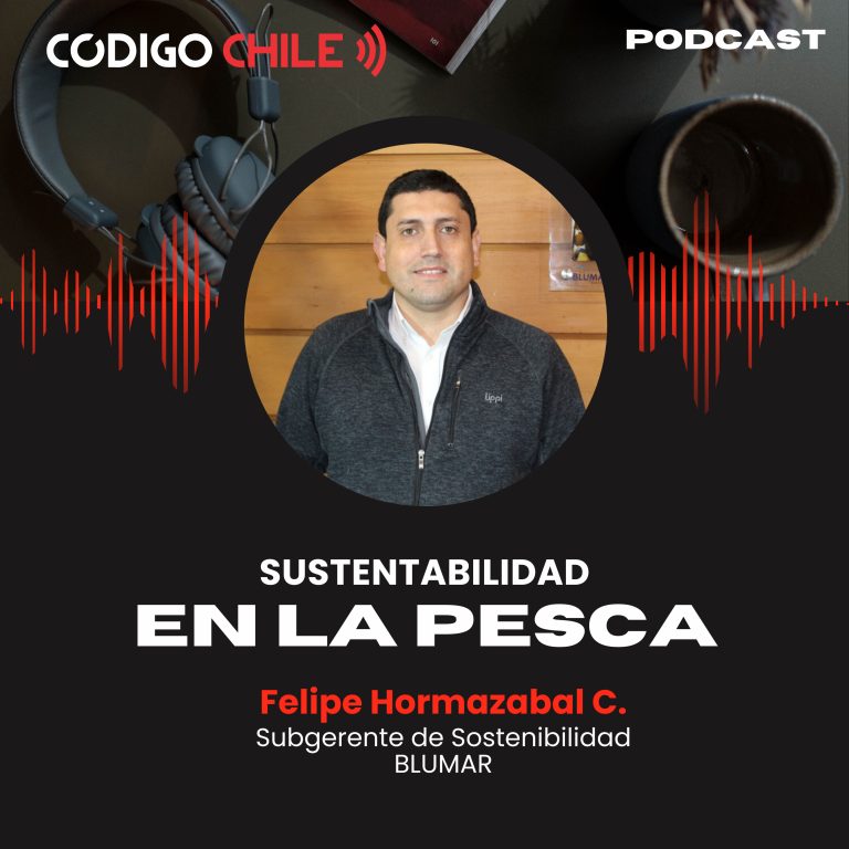 La Sustentabilidad en la Pesca
